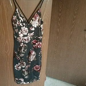NWT Windsor Dress